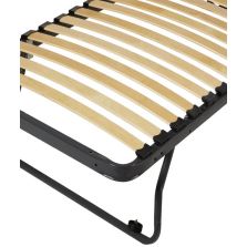 Double trundle bed with mattress